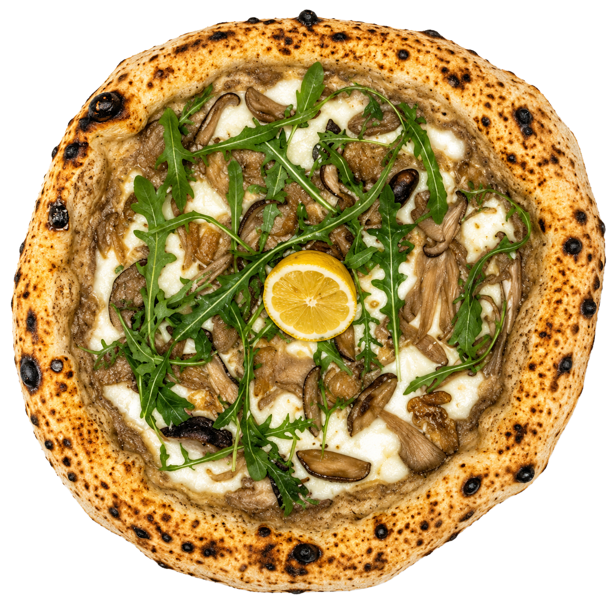 Neapolitan-fungus